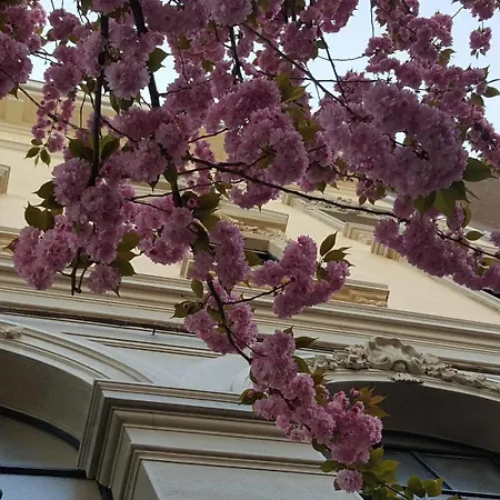 La Nuova Rotaia Hotell 3*