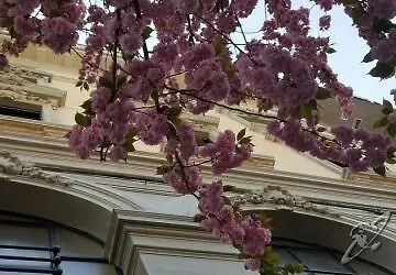 Hotell La Nuova Rotaia 3*